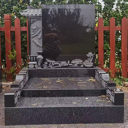 Ĺ�ر���չʾL8