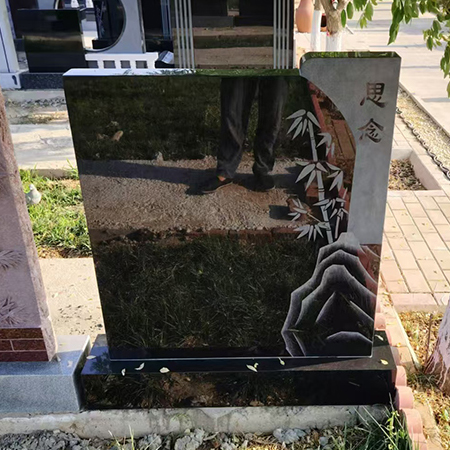 Ĺ�ر���չʾL5